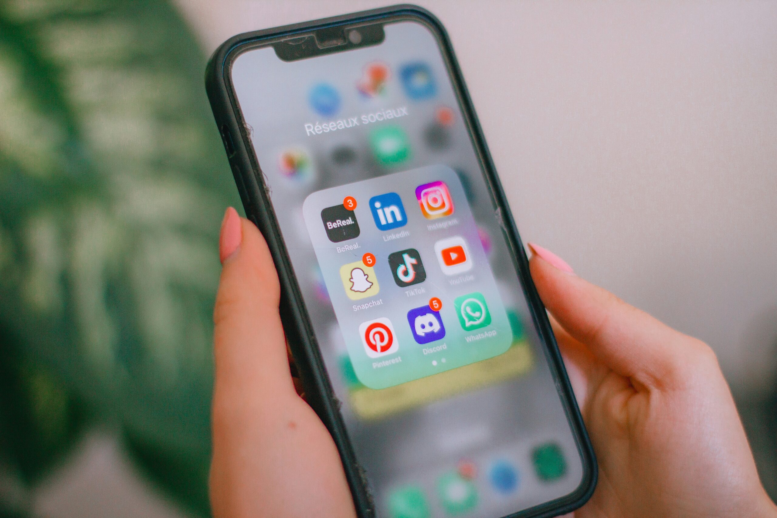 We create engaging content and manage your social media profiles to grow your online presence